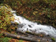 11.11.06 Waukeena Multnomah Falls 023 